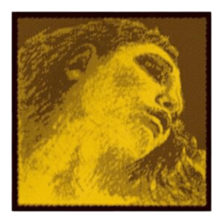 Evah Gold Violin Strings